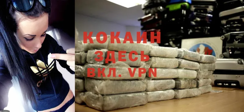 магазин    Кушва  Cocaine Fish Scale 