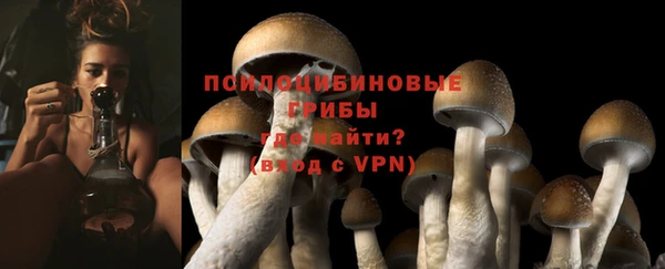 mdpv Осинники