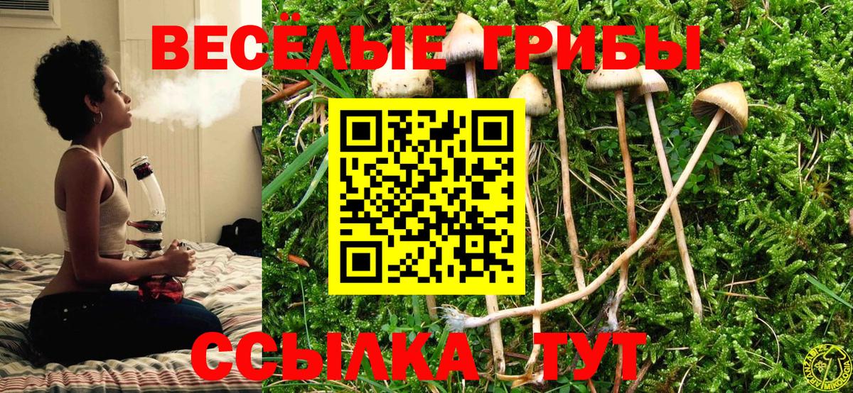 Галлюциногенные грибы Psilocybe  Вход с VPN  Кушва 