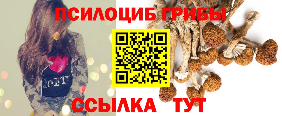 Галлюциногенные грибы мухоморы Кушва
