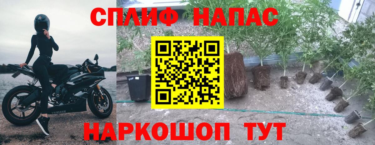 Бошки марихуана VHQ Кушва